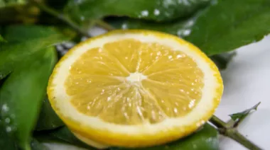 garnishing-instructions-image